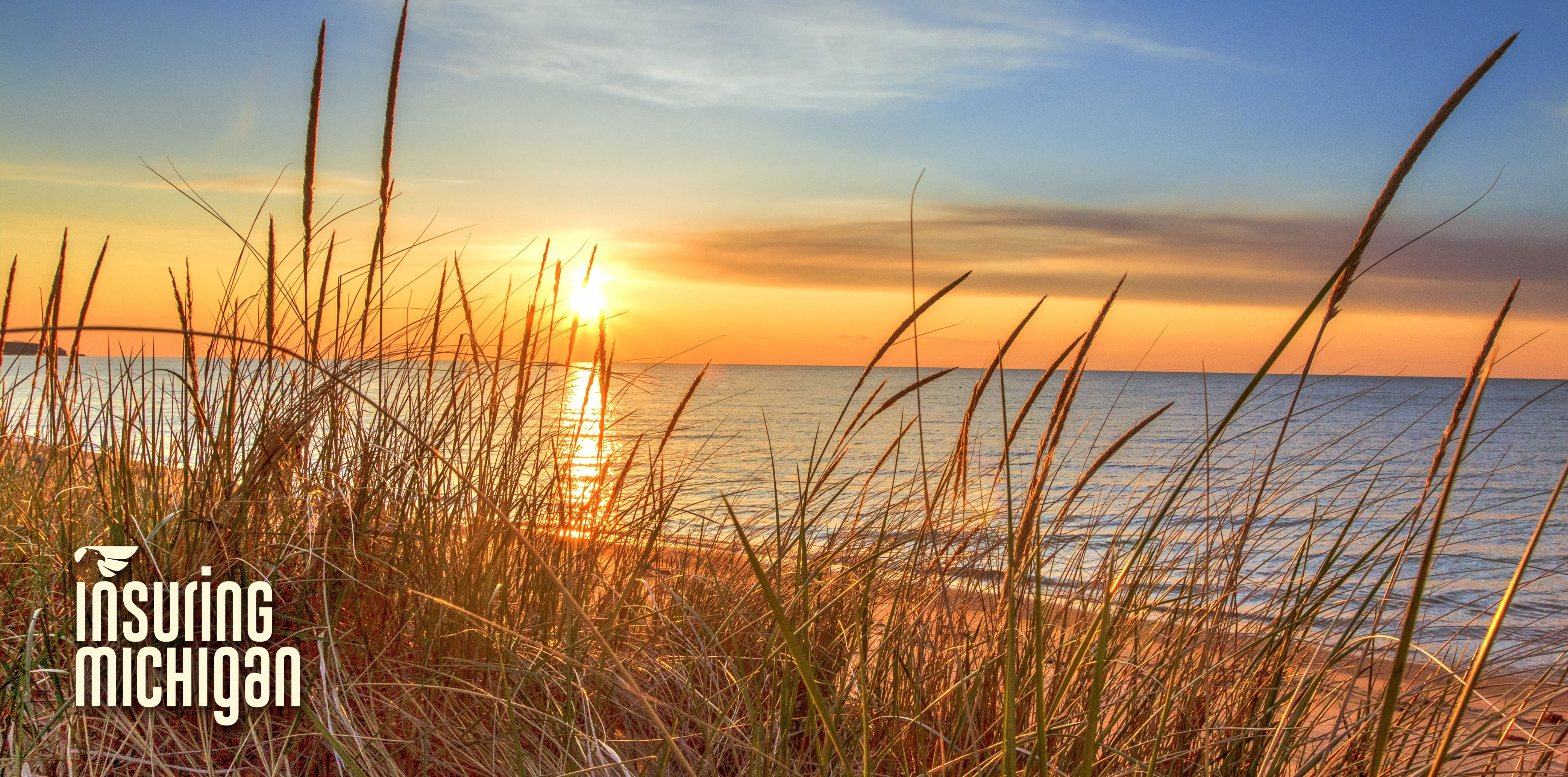 Pioneer State Mutual Insuring Michigan